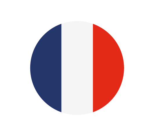 32102 Botones Banderas_Francia (1)